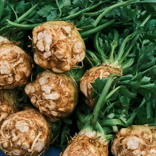 celery root vegetable